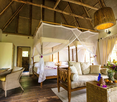 Bwindi Lodge | Amazing Adventures Travel