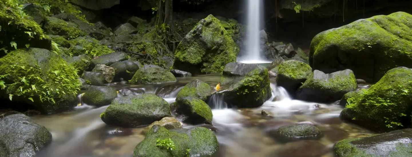 Dominica