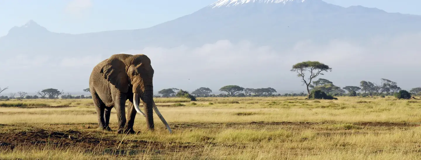 Tanzania