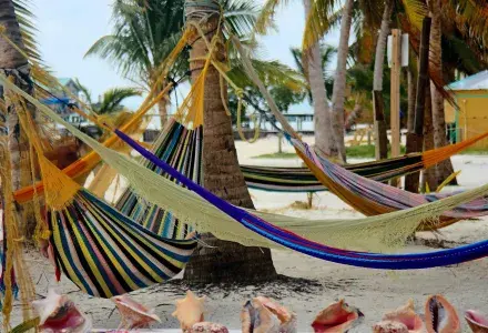 hammocks