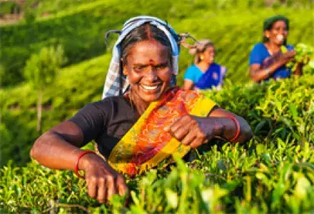 Sri Lanka