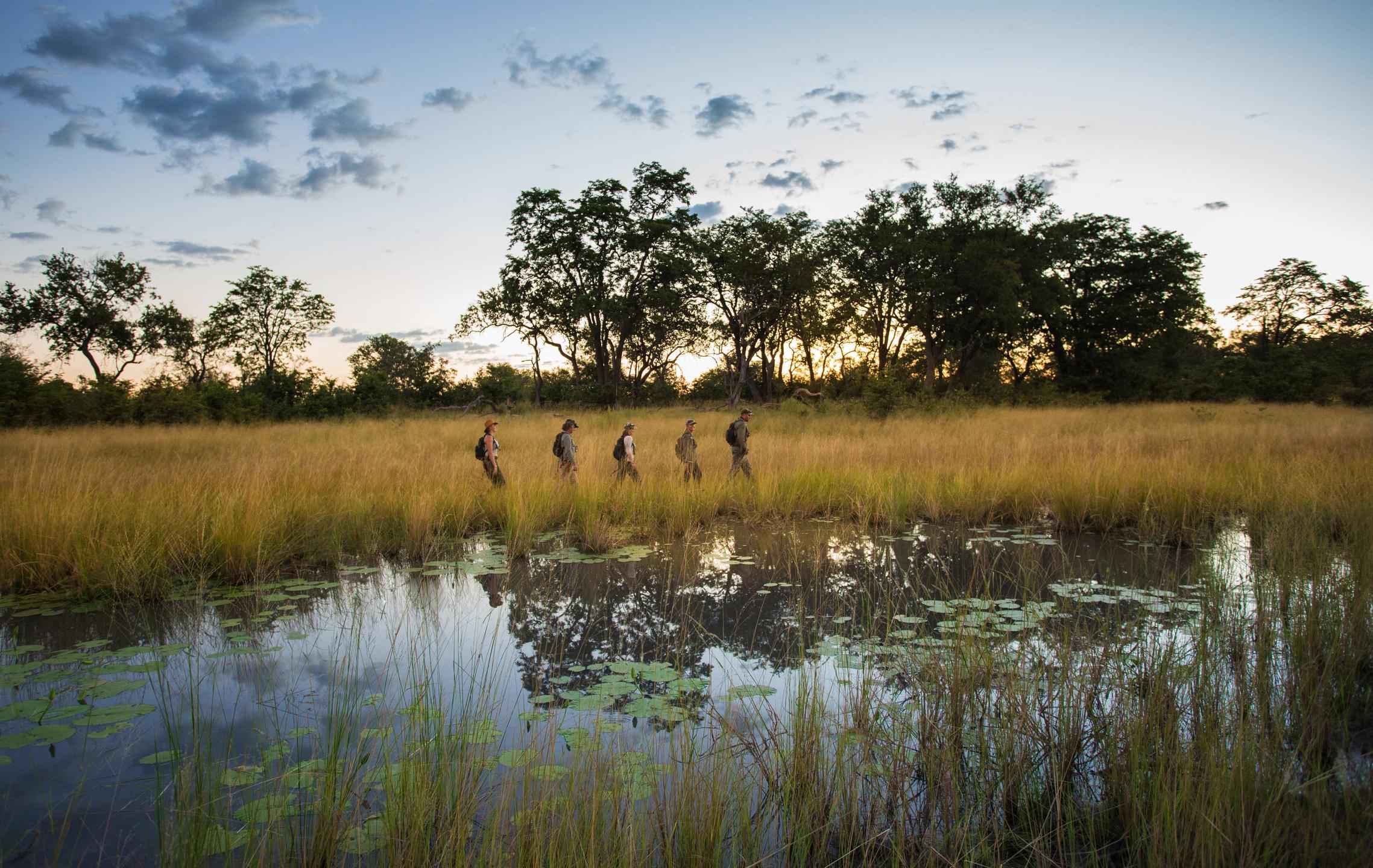 Sitatunga Private Island Camp | Amazing Adventures Travel