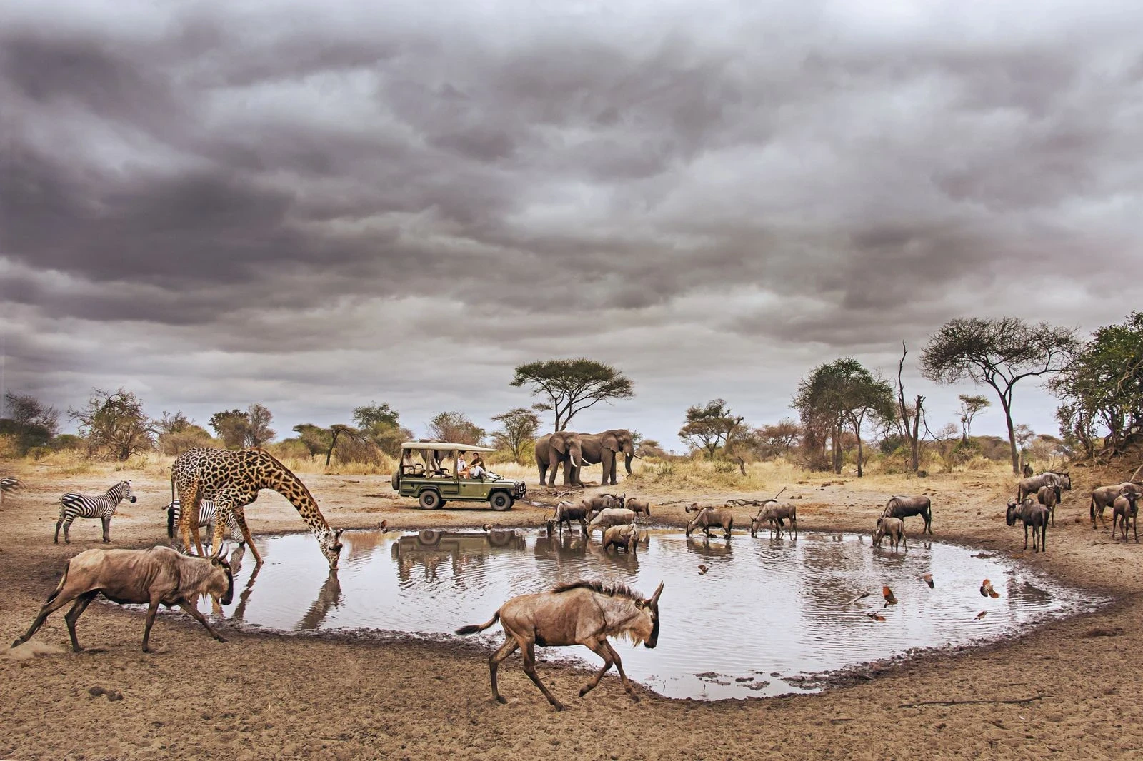 waterhole